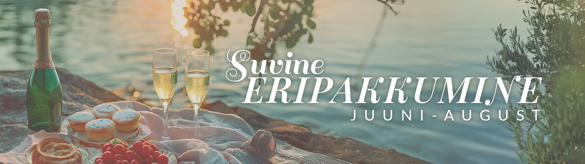 Suvine eripakkumine