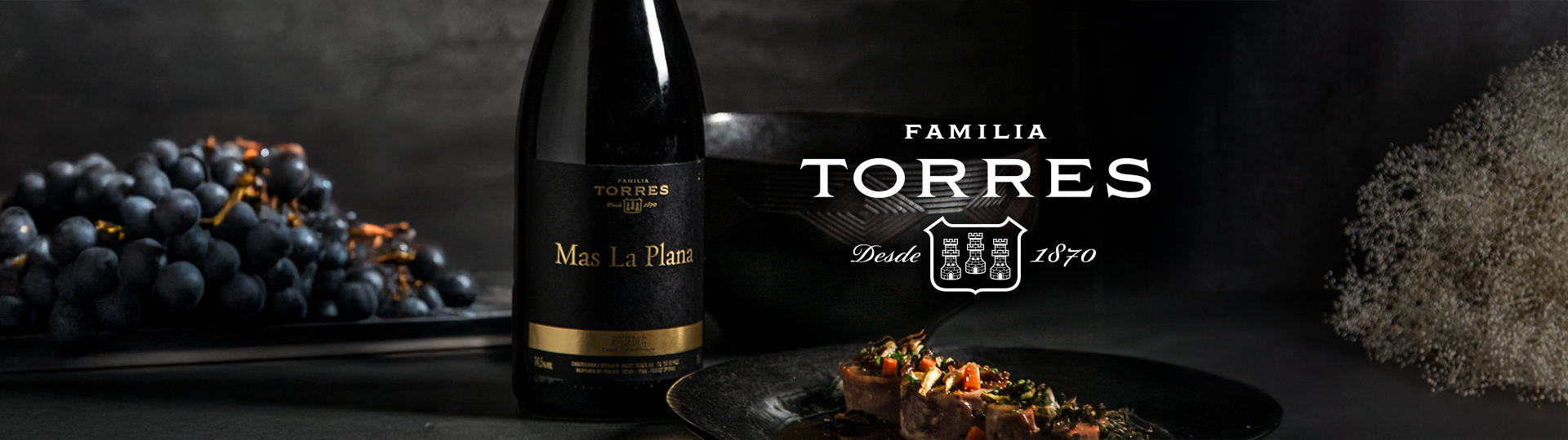 Torres veinid