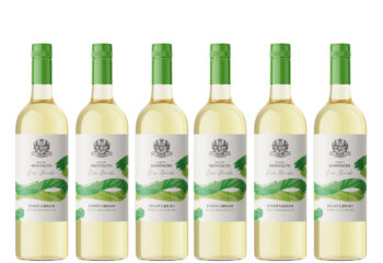 Barone Montalto PInot Grigio kastipakkumine