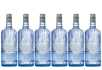 Citadelle Gin`i kastipakkumine