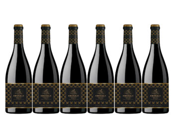 Kastipakkumine - Terre Collina Amorale Puglia Rosso
