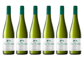 Kastipakkumine – Torres San Valentin Parellada 75cl 6