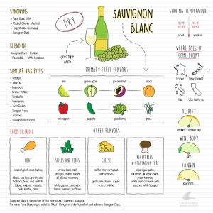 Sauvignon Blanc infographics