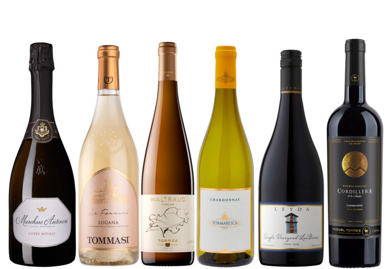 Veinikast “Veinisõber” Veinikast “Veinisõber”